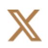 x-icon